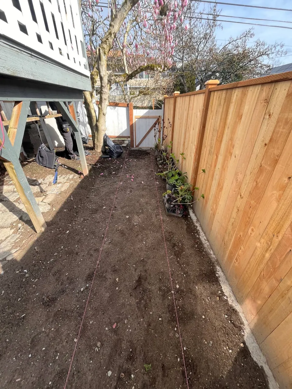 A new cedar privacy fence along a side yard, soil freshly raked