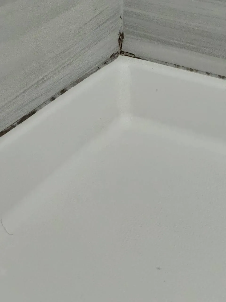 Close-up of a shower joint with mould along the old sealant line